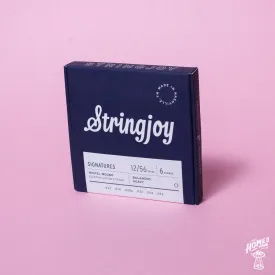 Stringjoy - Signatures - Nickel Wound Electric Guitar Strings - Balanced Heavy 12-56