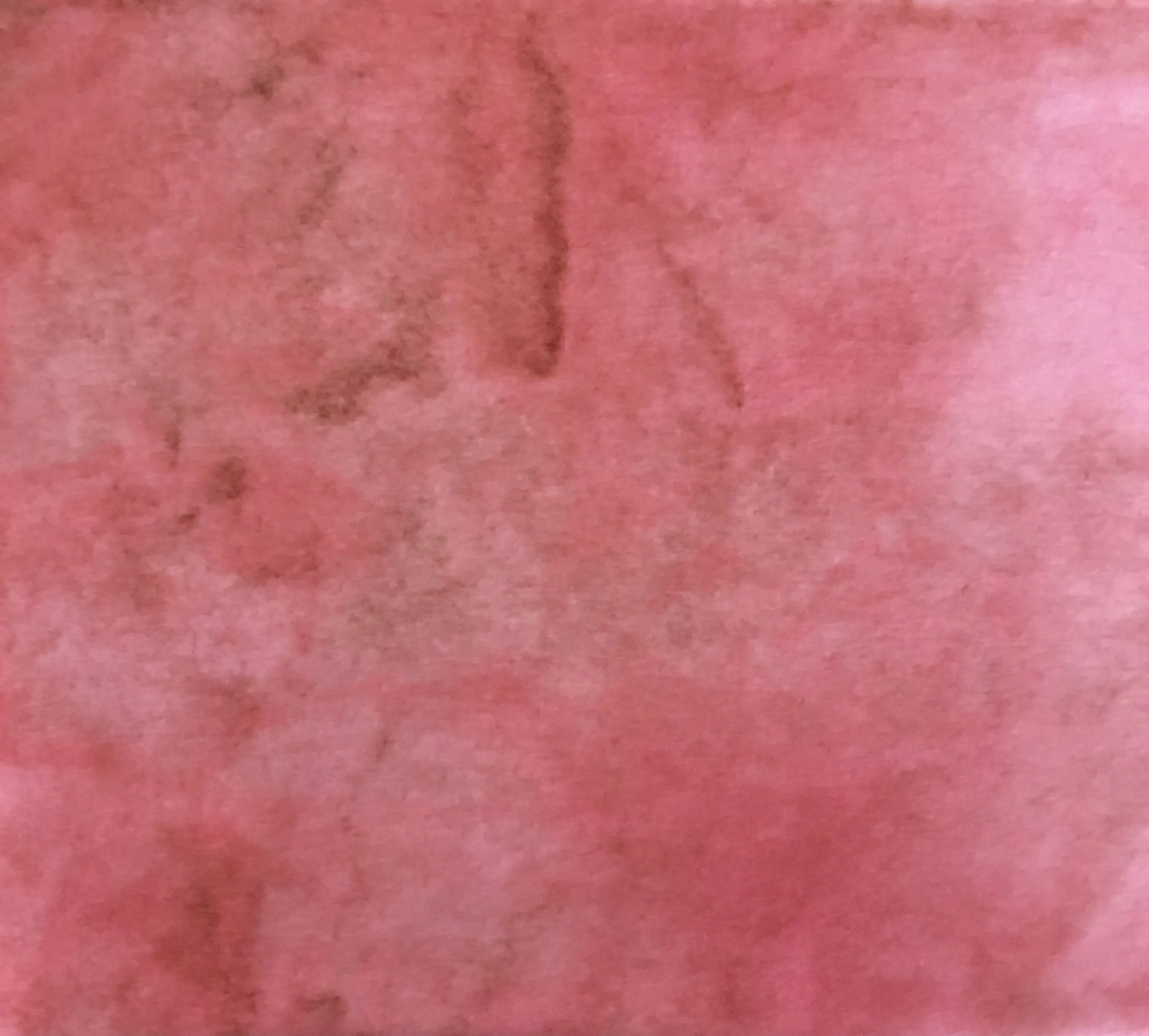 TERRA COTTA Hand Dyed Fat EIGHTH Wool Fabric for Wool Applique and Rug Hooking
